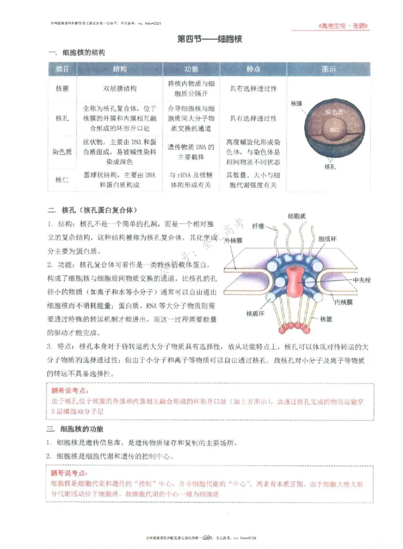 2024张鹏生物一轮复习讲义上_2024-2025高三（6-6月题库）_2024年09月试卷_张鹏