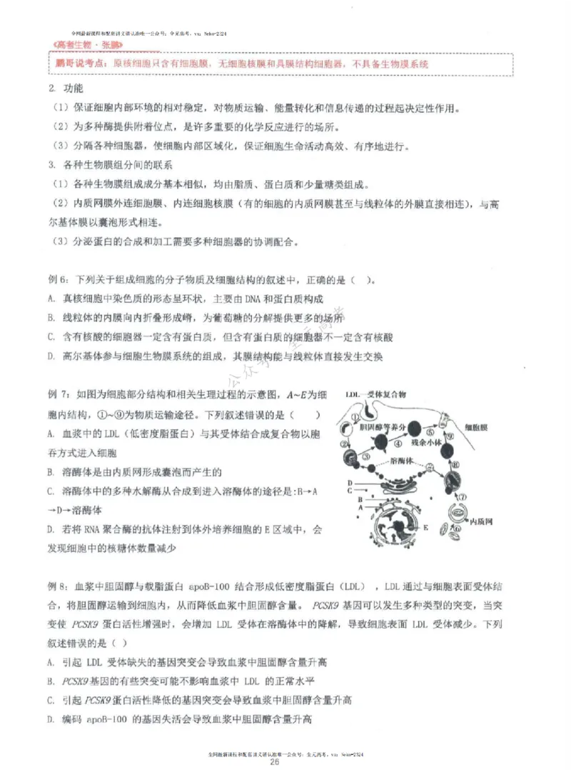 2024张鹏生物一轮复习讲义上_2024-2025高三（6-6月题库）_2024年09月试卷_张鹏