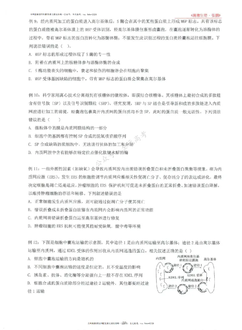 2024张鹏生物一轮复习讲义上_2024-2025高三（6-6月题库）_2024年09月试卷_张鹏