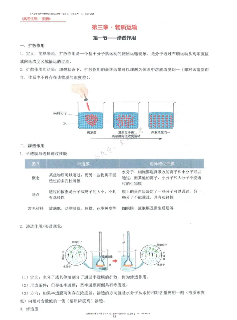 2024张鹏生物一轮复习讲义上_2024-2025高三（6-6月题库）_2024年09月试卷_张鹏