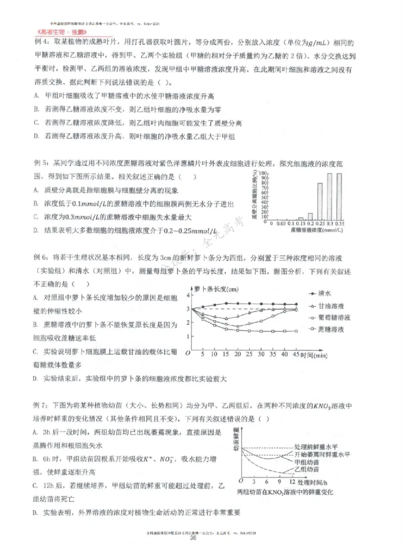 2024张鹏生物一轮复习讲义上_2024-2025高三（6-6月题库）_2024年09月试卷_张鹏