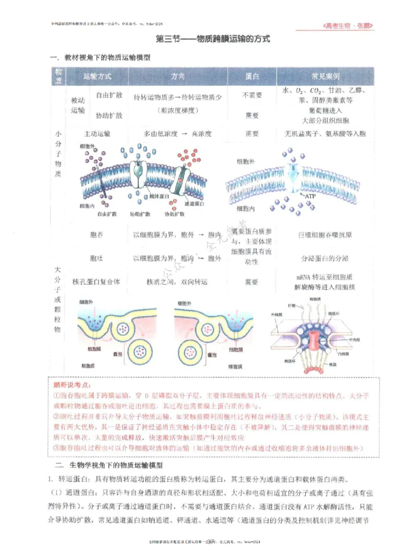 2024张鹏生物一轮复习讲义上_2024-2025高三（6-6月题库）_2024年09月试卷_张鹏