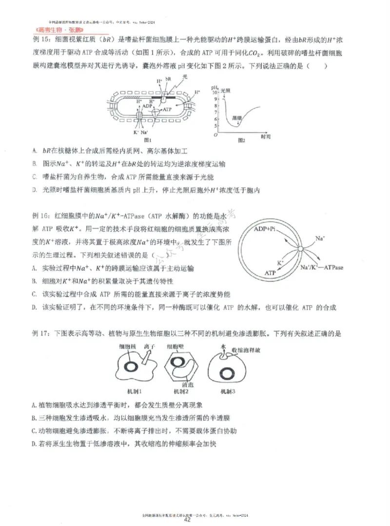 2024张鹏生物一轮复习讲义上_2024-2025高三（6-6月题库）_2024年09月试卷_张鹏