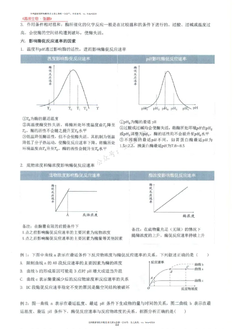2024张鹏生物一轮复习讲义上_2024-2025高三（6-6月题库）_2024年09月试卷_张鹏