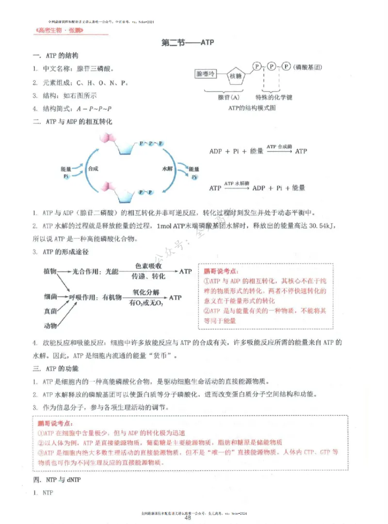 2024张鹏生物一轮复习讲义上_2024-2025高三（6-6月题库）_2024年09月试卷_张鹏