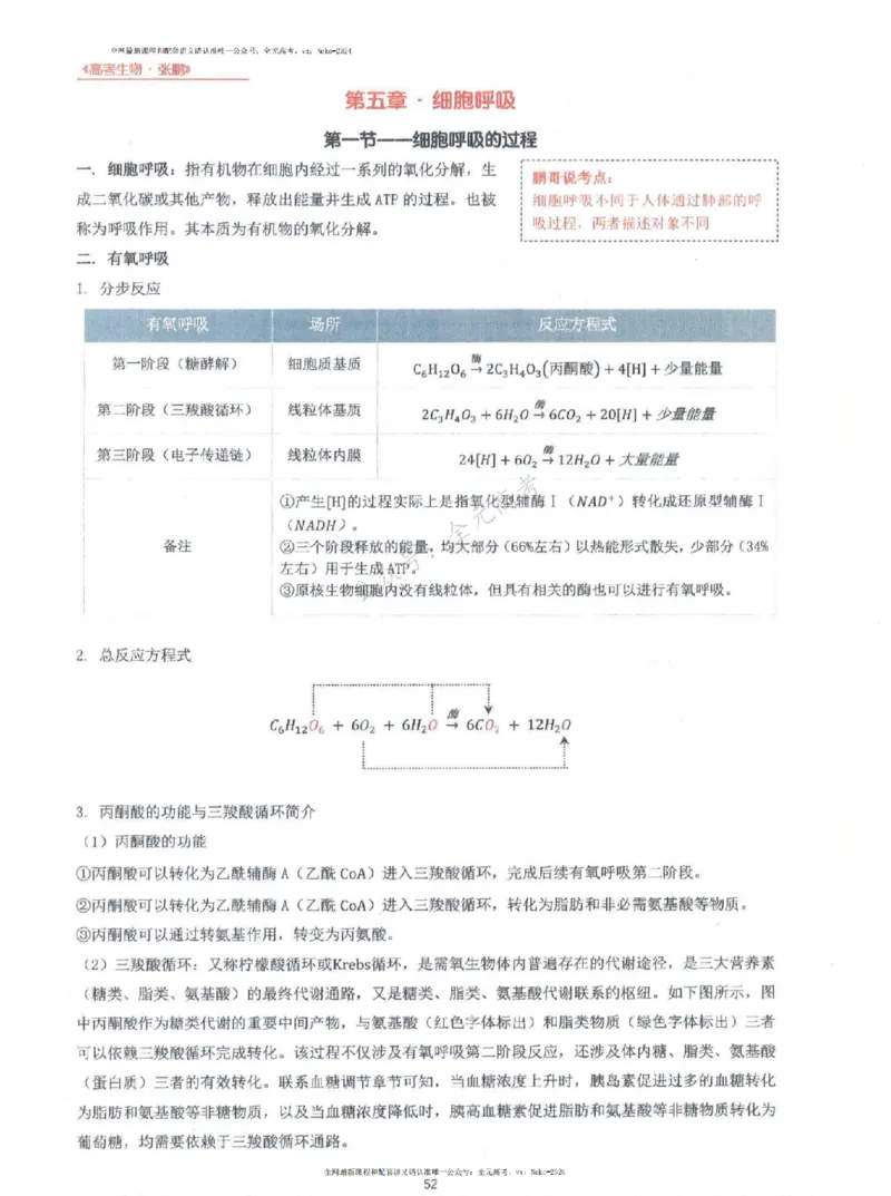 2024张鹏生物一轮复习讲义上_2024-2025高三（6-6月题库）_2024年09月试卷_张鹏
