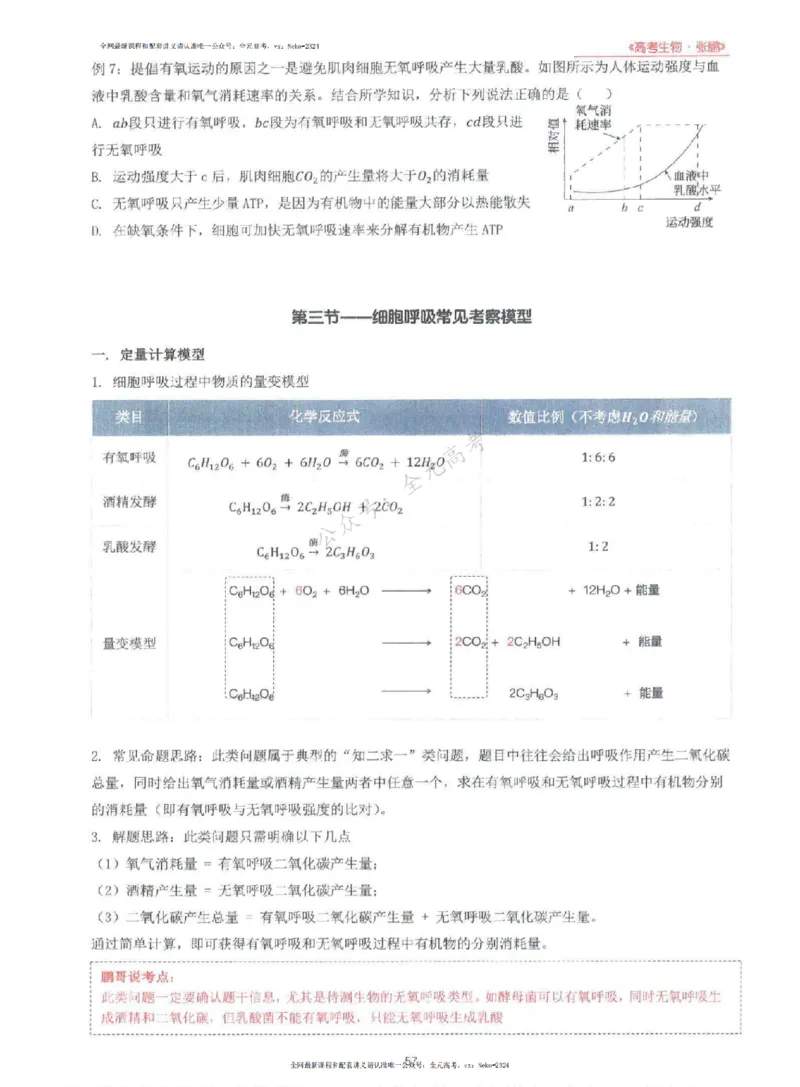 2024张鹏生物一轮复习讲义上_2024-2025高三（6-6月题库）_2024年09月试卷_张鹏