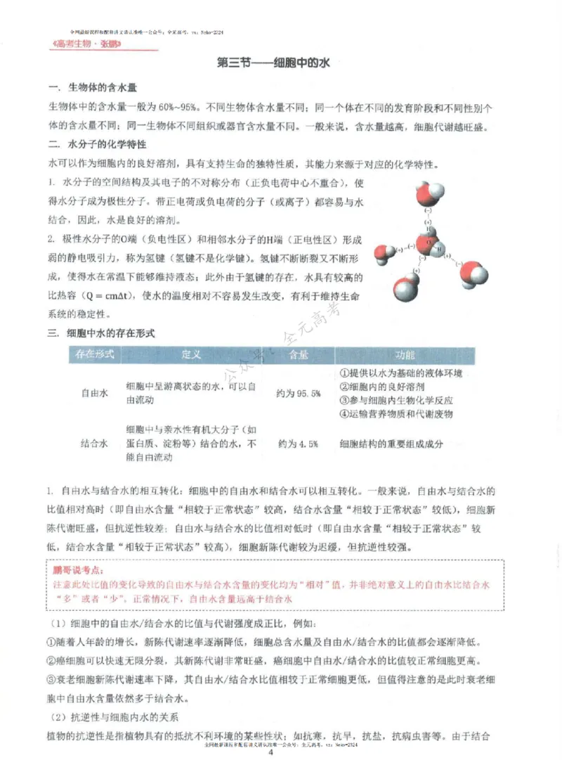 2024张鹏生物一轮复习讲义上_2024-2025高三（6-6月题库）_2024年09月试卷_张鹏