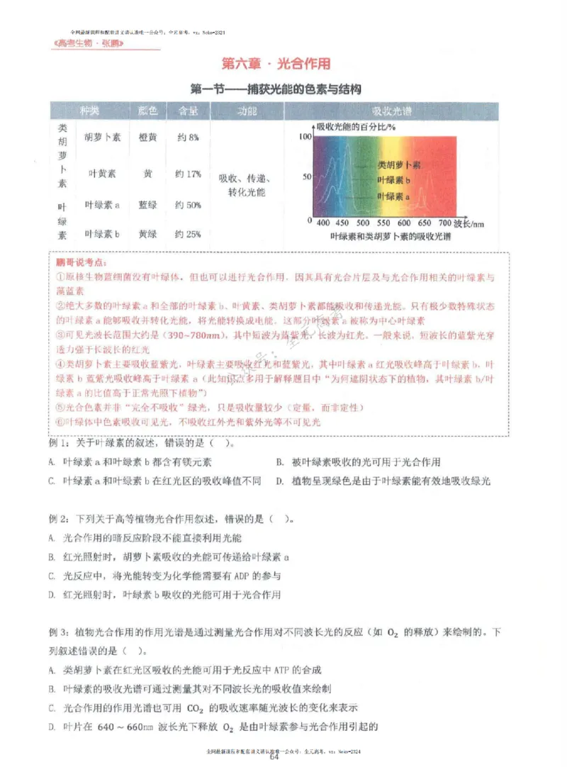 2024张鹏生物一轮复习讲义上_2024-2025高三（6-6月题库）_2024年09月试卷_张鹏