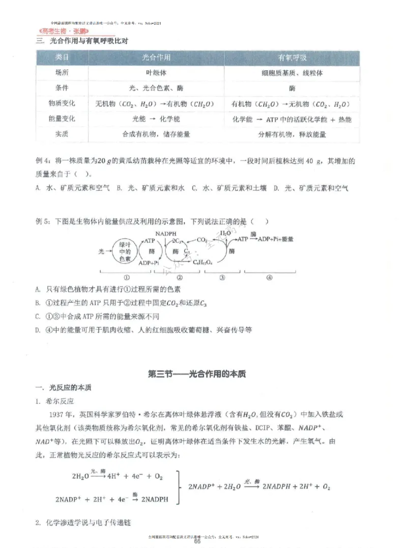 2024张鹏生物一轮复习讲义上_2024-2025高三（6-6月题库）_2024年09月试卷_张鹏