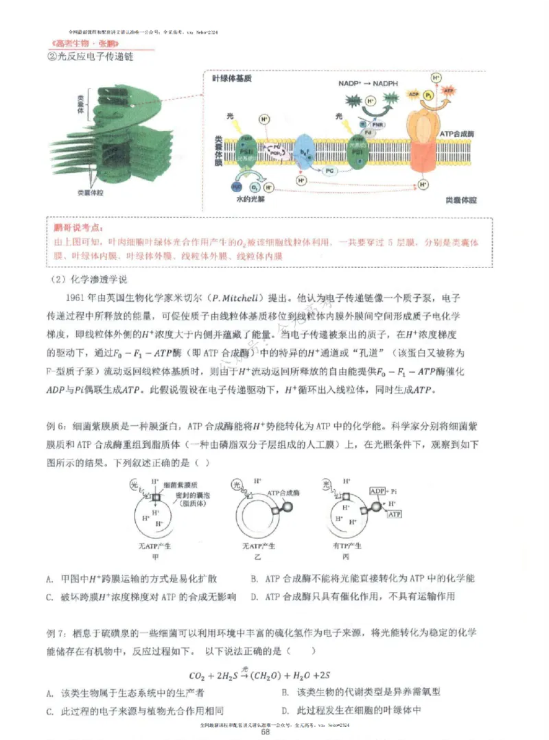 2024张鹏生物一轮复习讲义上_2024-2025高三（6-6月题库）_2024年09月试卷_张鹏