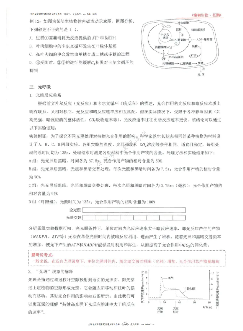 2024张鹏生物一轮复习讲义上_2024-2025高三（6-6月题库）_2024年09月试卷_张鹏