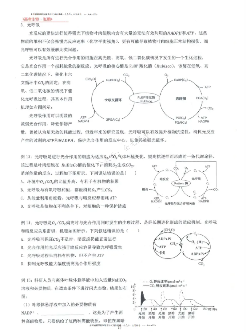 2024张鹏生物一轮复习讲义上_2024-2025高三（6-6月题库）_2024年09月试卷_张鹏