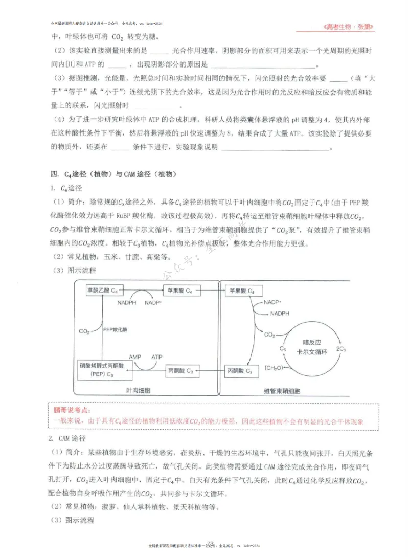 2024张鹏生物一轮复习讲义上_2024-2025高三（6-6月题库）_2024年09月试卷_张鹏