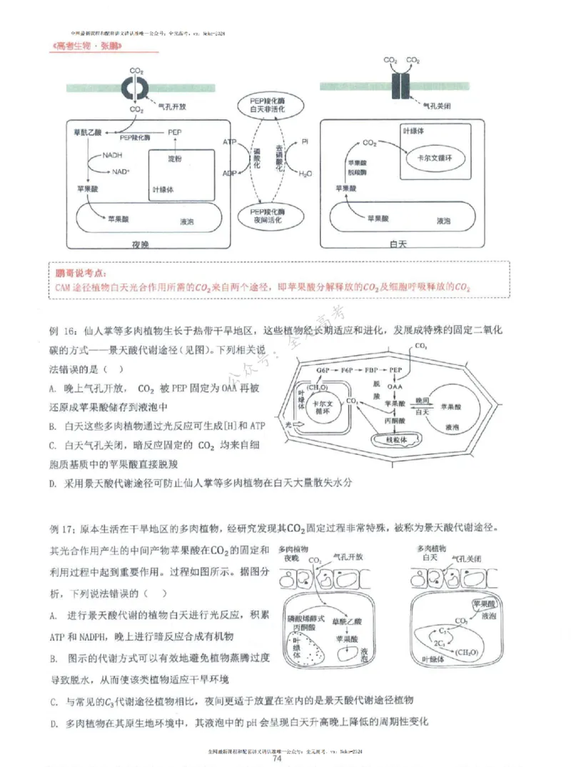 2024张鹏生物一轮复习讲义上_2024-2025高三（6-6月题库）_2024年09月试卷_张鹏
