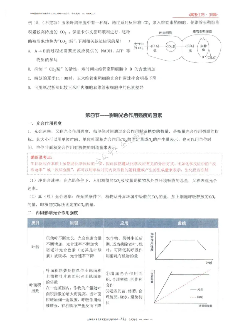 2024张鹏生物一轮复习讲义上_2024-2025高三（6-6月题库）_2024年09月试卷_张鹏
