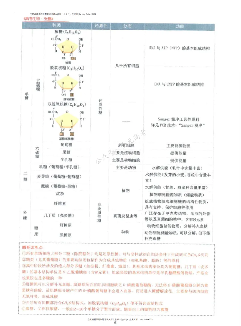 2024张鹏生物一轮复习讲义上_2024-2025高三（6-6月题库）_2024年09月试卷_张鹏