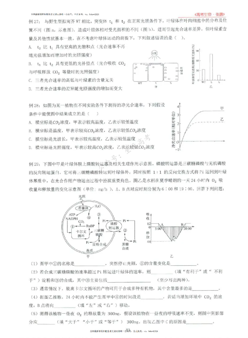 2024张鹏生物一轮复习讲义上_2024-2025高三（6-6月题库）_2024年09月试卷_张鹏