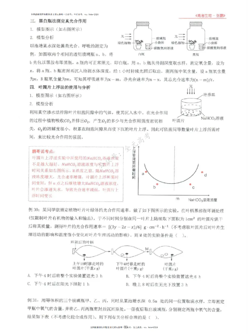 2024张鹏生物一轮复习讲义上_2024-2025高三（6-6月题库）_2024年09月试卷_张鹏