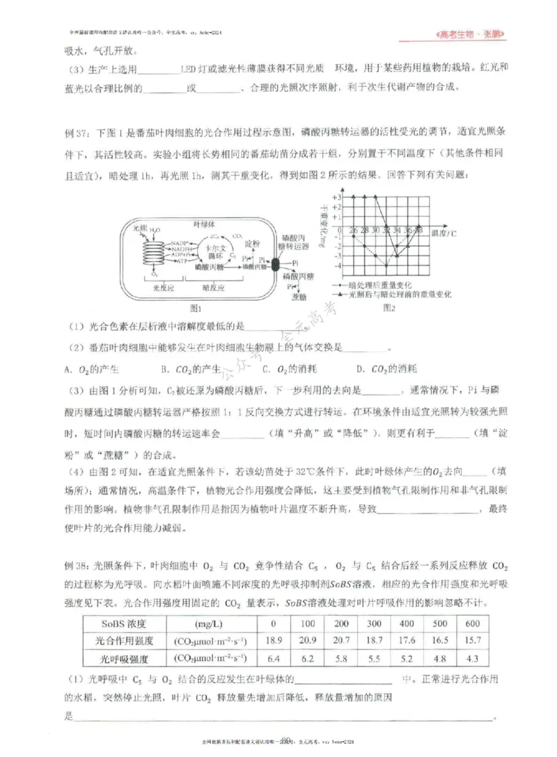 2024张鹏生物一轮复习讲义上_2024-2025高三（6-6月题库）_2024年09月试卷_张鹏