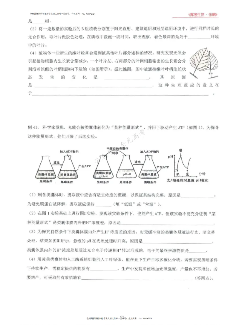 2024张鹏生物一轮复习讲义上_2024-2025高三（6-6月题库）_2024年09月试卷_张鹏