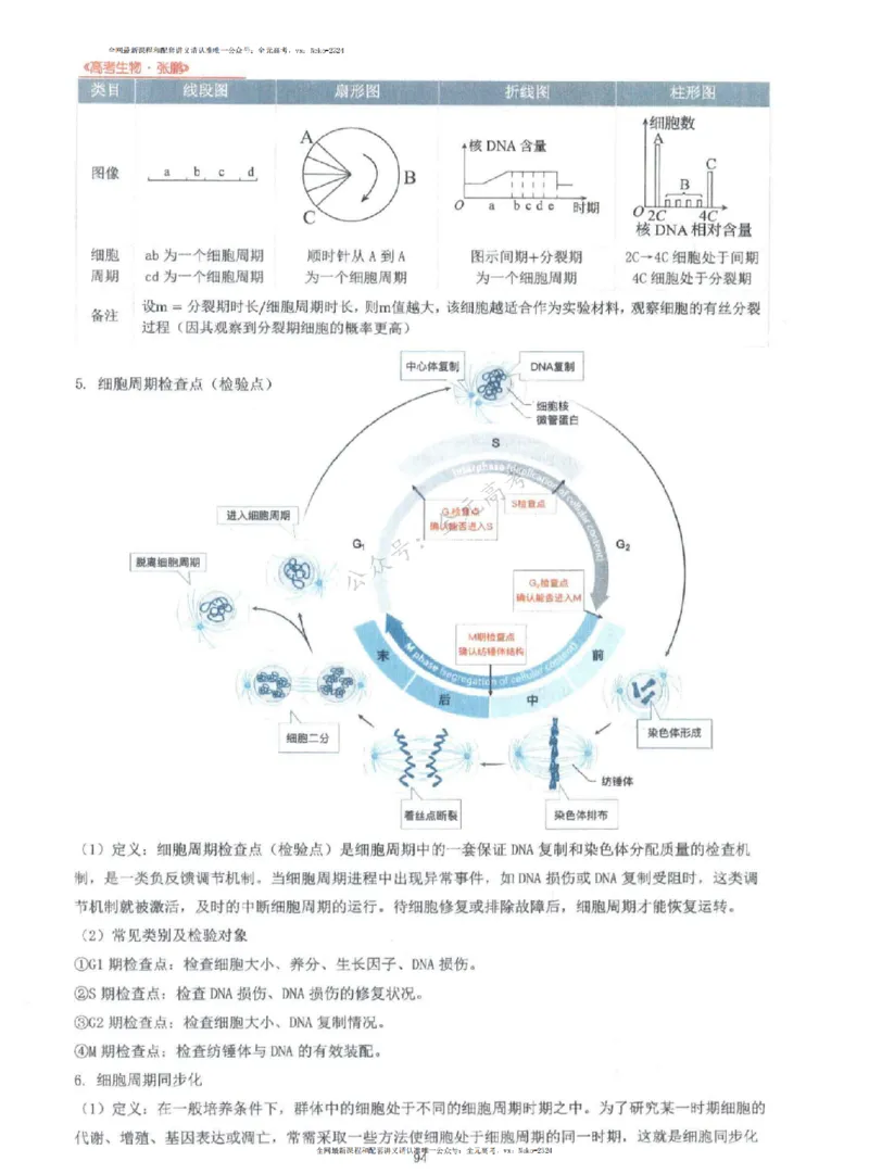 2024张鹏生物一轮复习讲义上_2024-2025高三（6-6月题库）_2024年09月试卷_张鹏