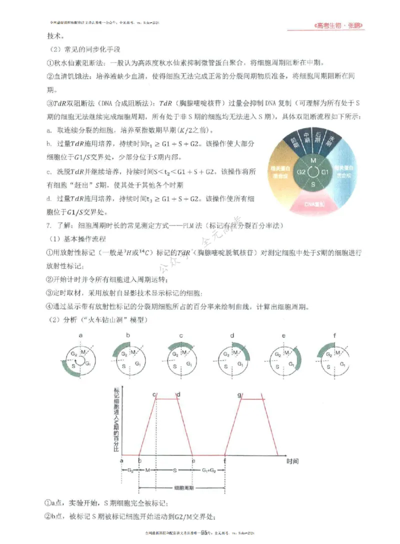 2024张鹏生物一轮复习讲义上_2024-2025高三（6-6月题库）_2024年09月试卷_张鹏