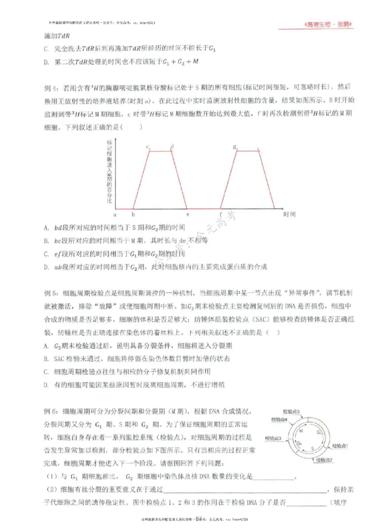 2024张鹏生物一轮复习讲义上_2024-2025高三（6-6月题库）_2024年09月试卷_张鹏