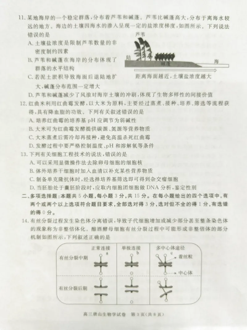 2025年河北省唐山市普通高等学校招生统一考试第二次模拟演练生物试题_2024-2026高三（6-6月题库）_2025年04月试卷_04262025届河北省唐山市高三二模（全科）