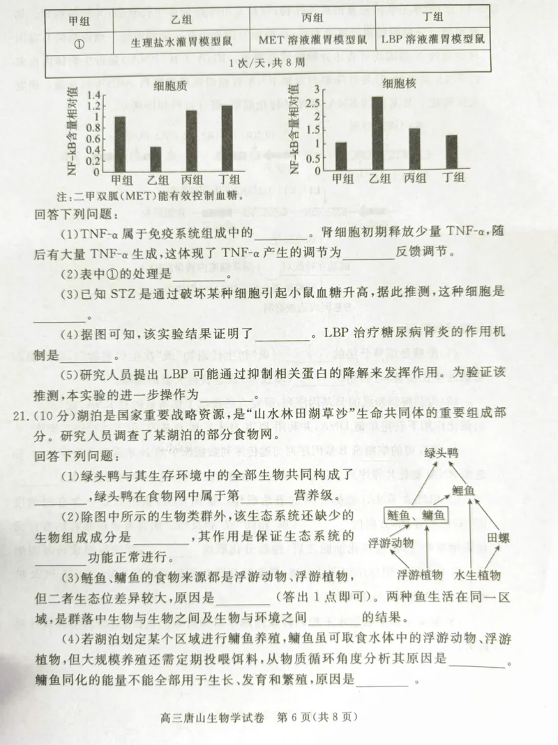 2025年河北省唐山市普通高等学校招生统一考试第二次模拟演练生物试题_2024-2026高三（6-6月题库）_2025年04月试卷_04262025届河北省唐山市高三二模（全科）
