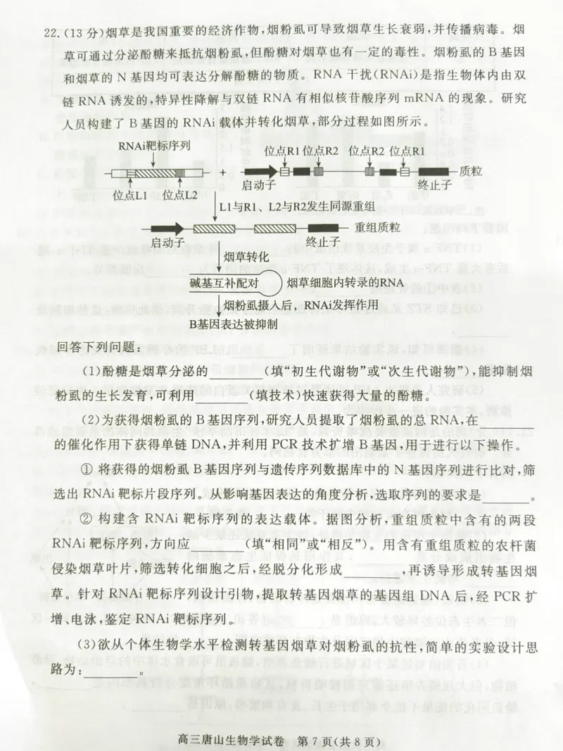 2025年河北省唐山市普通高等学校招生统一考试第二次模拟演练生物试题_2024-2026高三（6-6月题库）_2025年04月试卷_04262025届河北省唐山市高三二模（全科）