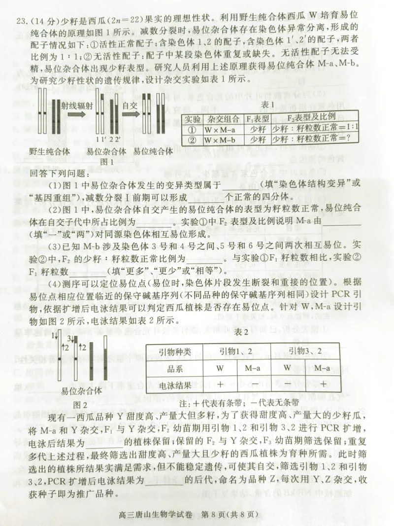 2025年河北省唐山市普通高等学校招生统一考试第二次模拟演练生物试题_2024-2026高三（6-6月题库）_2025年04月试卷_04262025届河北省唐山市高三二模（全科）