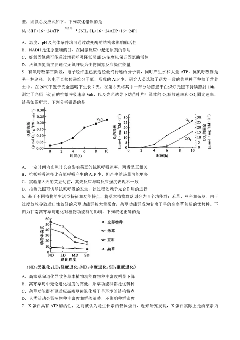 湖北省高中名校联盟2024届高三第四次联合测评生物试题+答案(1)_2024年5月_025月合集_2024届湖北省圆创高中名校联盟高三第四次联合测评