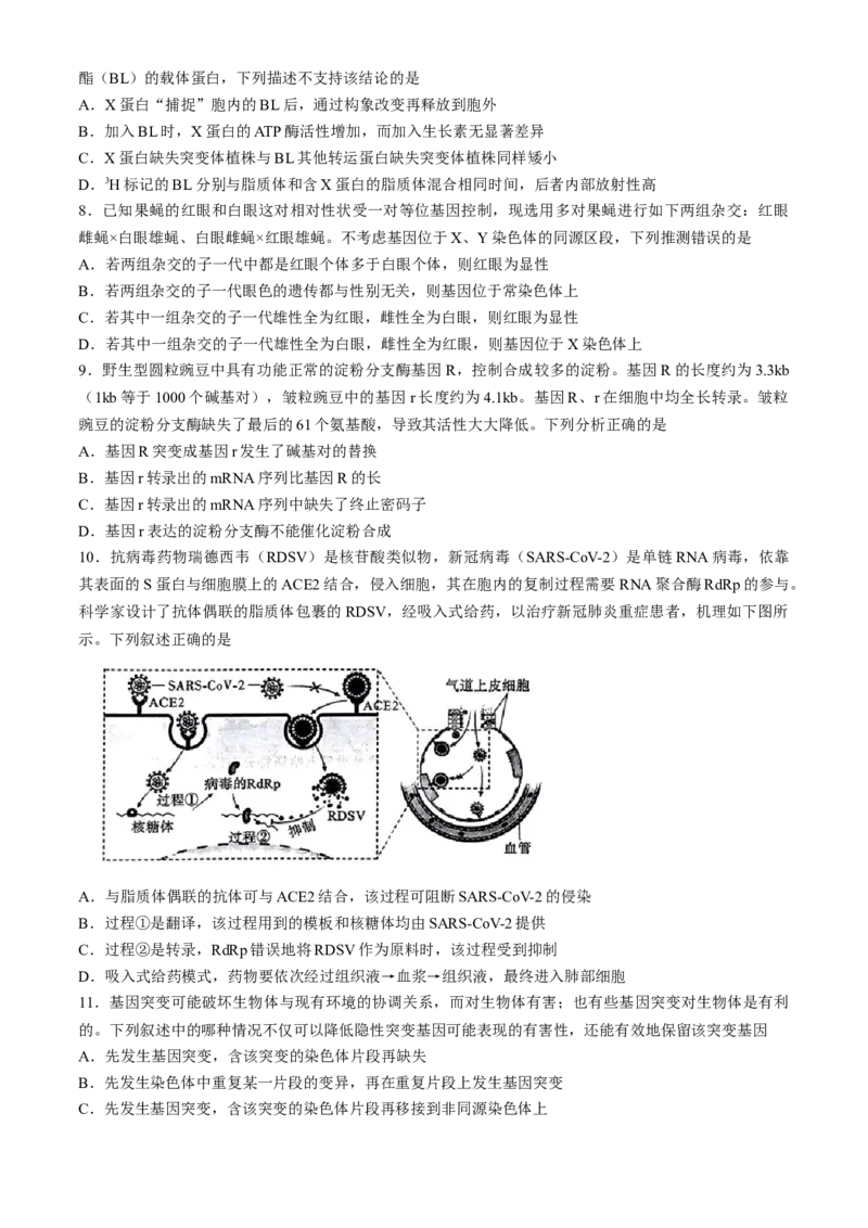 湖北省高中名校联盟2024届高三第四次联合测评生物试题+答案(1)_2024年5月_025月合集_2024届湖北省圆创高中名校联盟高三第四次联合测评