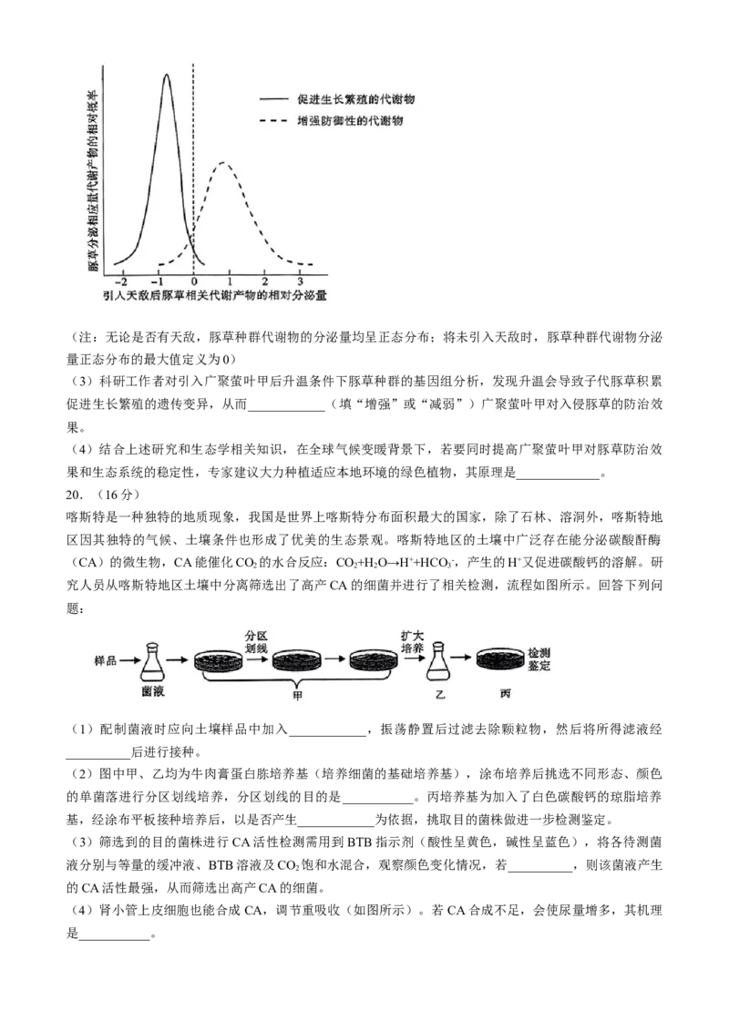 湖北省高中名校联盟2024届高三第四次联合测评生物试题+答案(1)_2024年5月_025月合集_2024届湖北省圆创高中名校联盟高三第四次联合测评