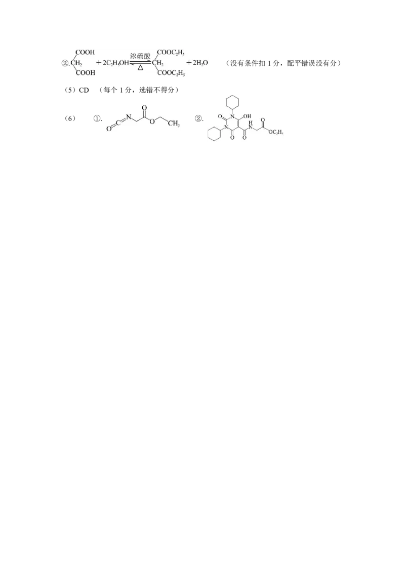 2025届东北三省名校联盟高三11月第一次模拟-化学试题+答案_2024-2025高三（6-6月题库）_2024年11月试卷_11252025届东北三省一区名校联盟高三11月第一次模拟