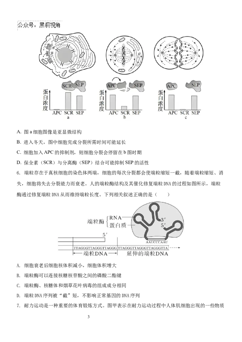 1818-副本_2024-2025高三（6-6月题库）_2024年11月试卷_1120云南省玉溪市一中2024-2025学年高三上学期期中考试_生物