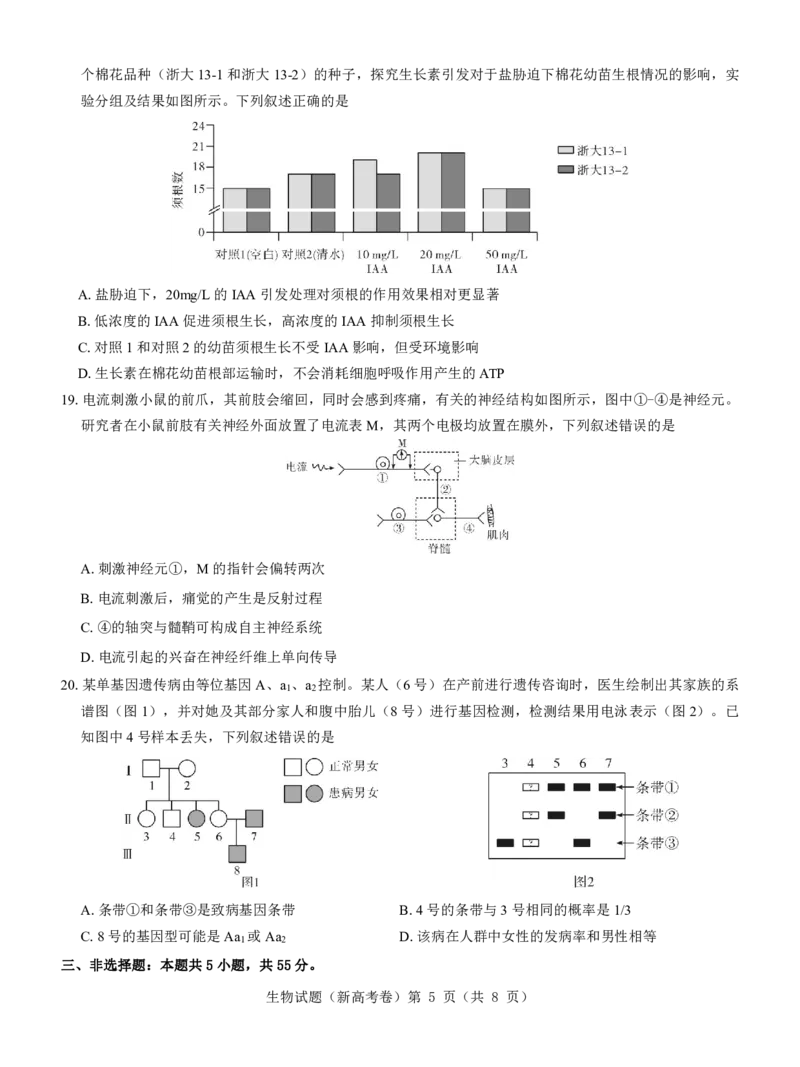 新高考卷名校教研联盟2024届高三4月联考生物(1)_2024年5月_025月合集_2024届名校教研联盟高三4月联考（新高考卷）