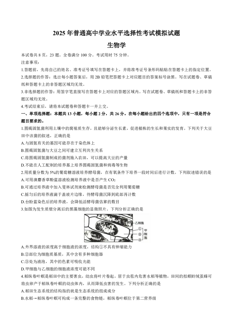 2025届河北省沧州市运东五校高三11月期中考-生物试卷+答案_2024-2025高三（6-6月题库）_2024年11月试卷_11262025届河北省沧州市运东五校高三11月期中考