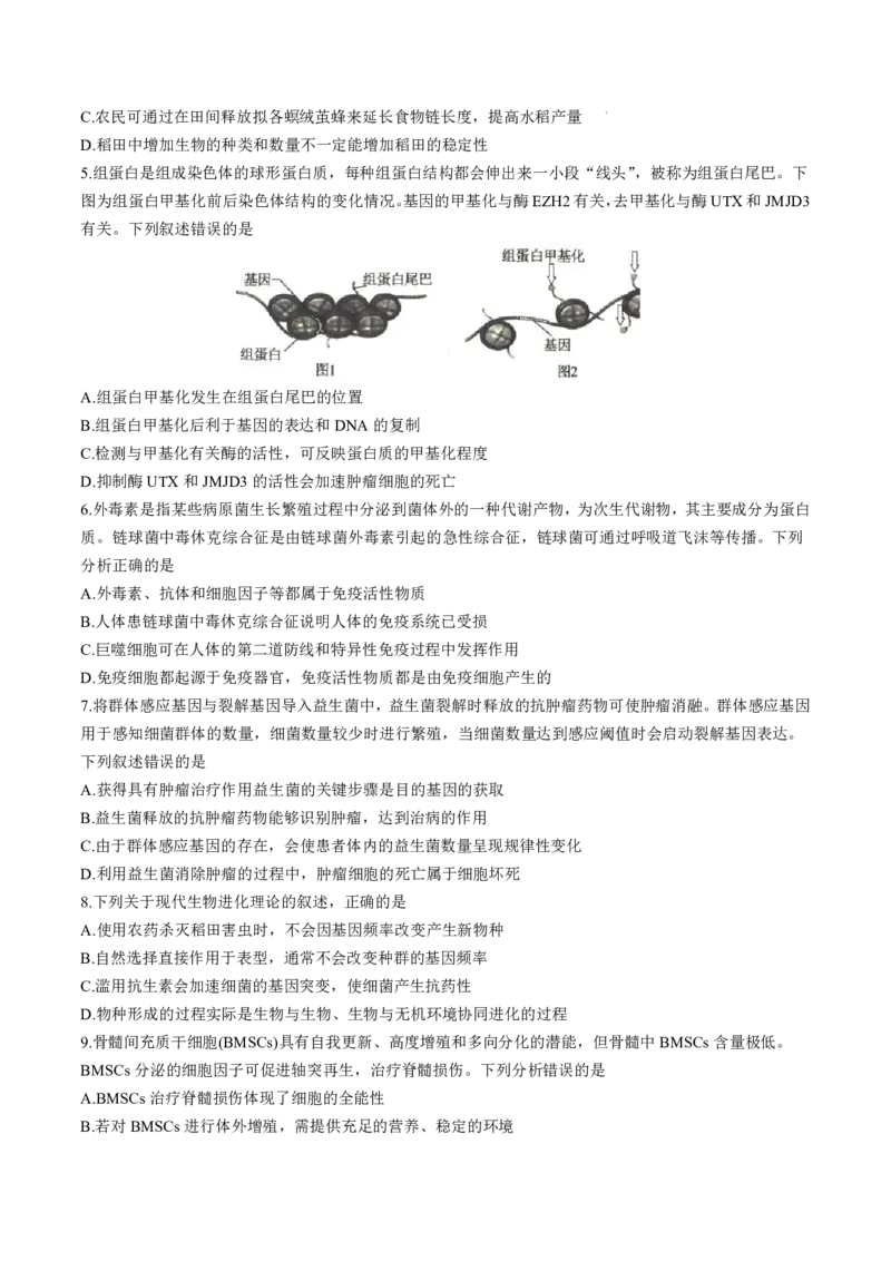 2025届河北省沧州市运东五校高三11月期中考-生物试卷+答案_2024-2025高三（6-6月题库）_2024年11月试卷_11262025届河北省沧州市运东五校高三11月期中考