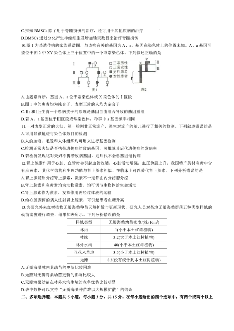 2025届河北省沧州市运东五校高三11月期中考-生物试卷+答案_2024-2025高三（6-6月题库）_2024年11月试卷_11262025届河北省沧州市运东五校高三11月期中考