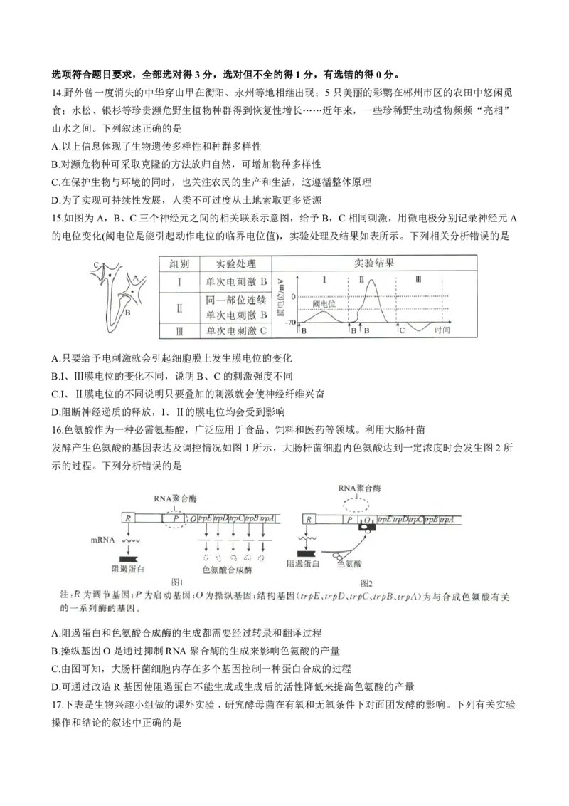 2025届河北省沧州市运东五校高三11月期中考-生物试卷+答案_2024-2025高三（6-6月题库）_2024年11月试卷_11262025届河北省沧州市运东五校高三11月期中考