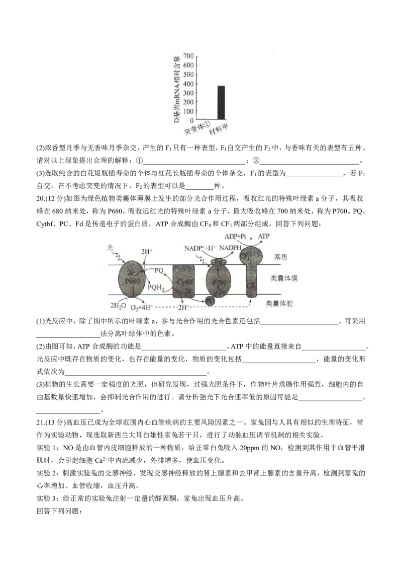 2025届河北省沧州市运东五校高三11月期中考-生物试卷+答案_2024-2025高三（6-6月题库）_2024年11月试卷_11262025届河北省沧州市运东五校高三11月期中考