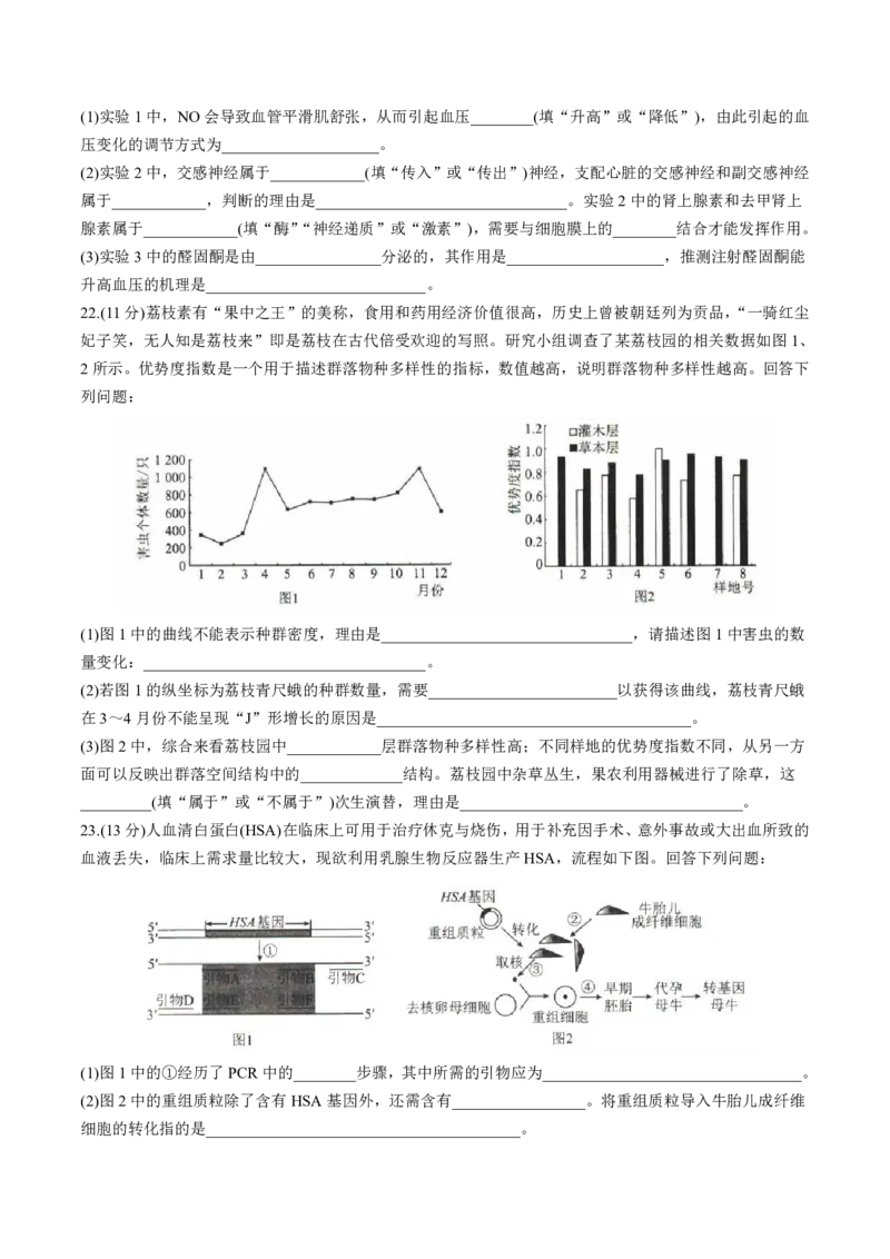 2025届河北省沧州市运东五校高三11月期中考-生物试卷+答案_2024-2025高三（6-6月题库）_2024年11月试卷_11262025届河北省沧州市运东五校高三11月期中考