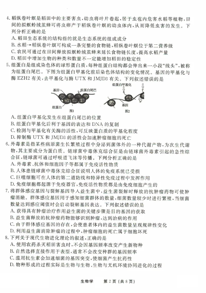 2025年普通高等学校招生全国统一考试模拟试题（一）生物试题（PDF版，含解析）_2024-2025高三（6-6月题库）_2024年11月试卷