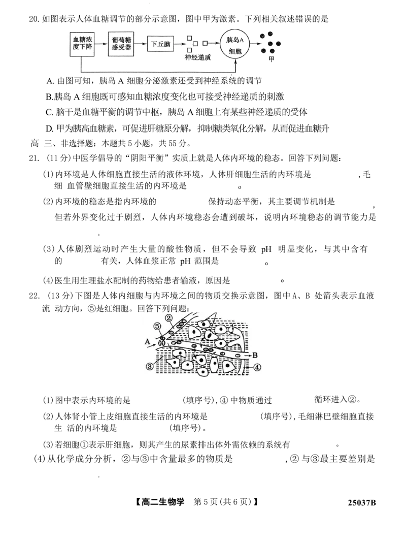 吉林省四校联考2024-2025学年高二上学期9月月考生物试题_2024-2025高二（7-7月题库）_2024年09月试卷_0926吉林省四校联考2024-2025学年高二上学期第一次月考