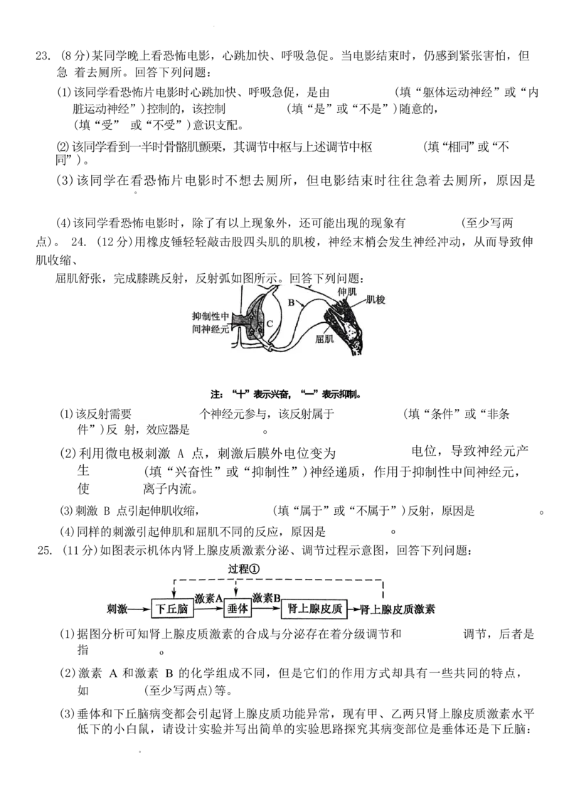 吉林省四校联考2024-2025学年高二上学期9月月考生物试题_2024-2025高二（7-7月题库）_2024年09月试卷_0926吉林省四校联考2024-2025学年高二上学期第一次月考