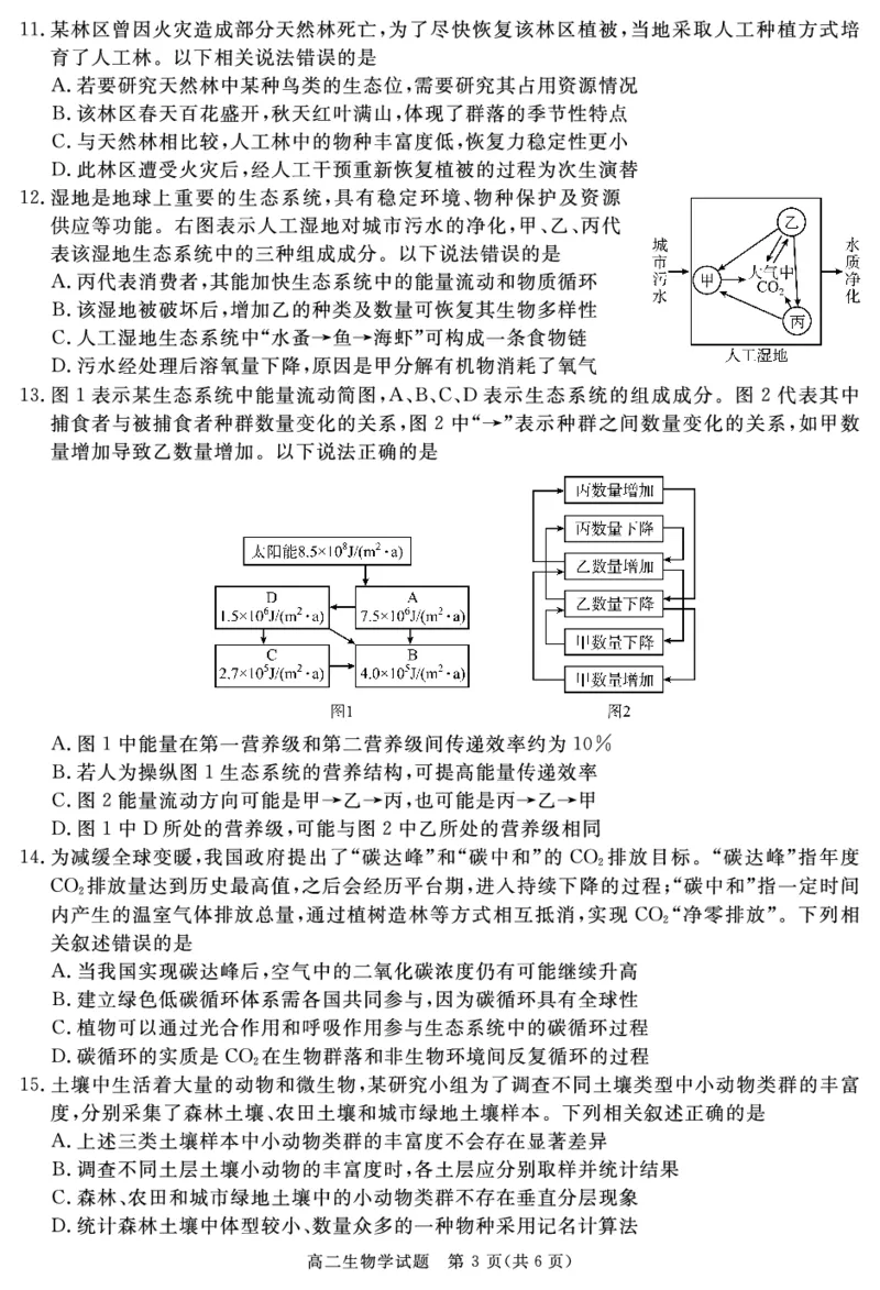 SN2026届地区期末生物_2024-2025高二（7-7月题库）_2025年01月试卷_0119四川省遂宁市2024-2025学年高二上学期期末_四川省遂宁市2024-2025学年高二上学期期末生物试题PDF版含解析
