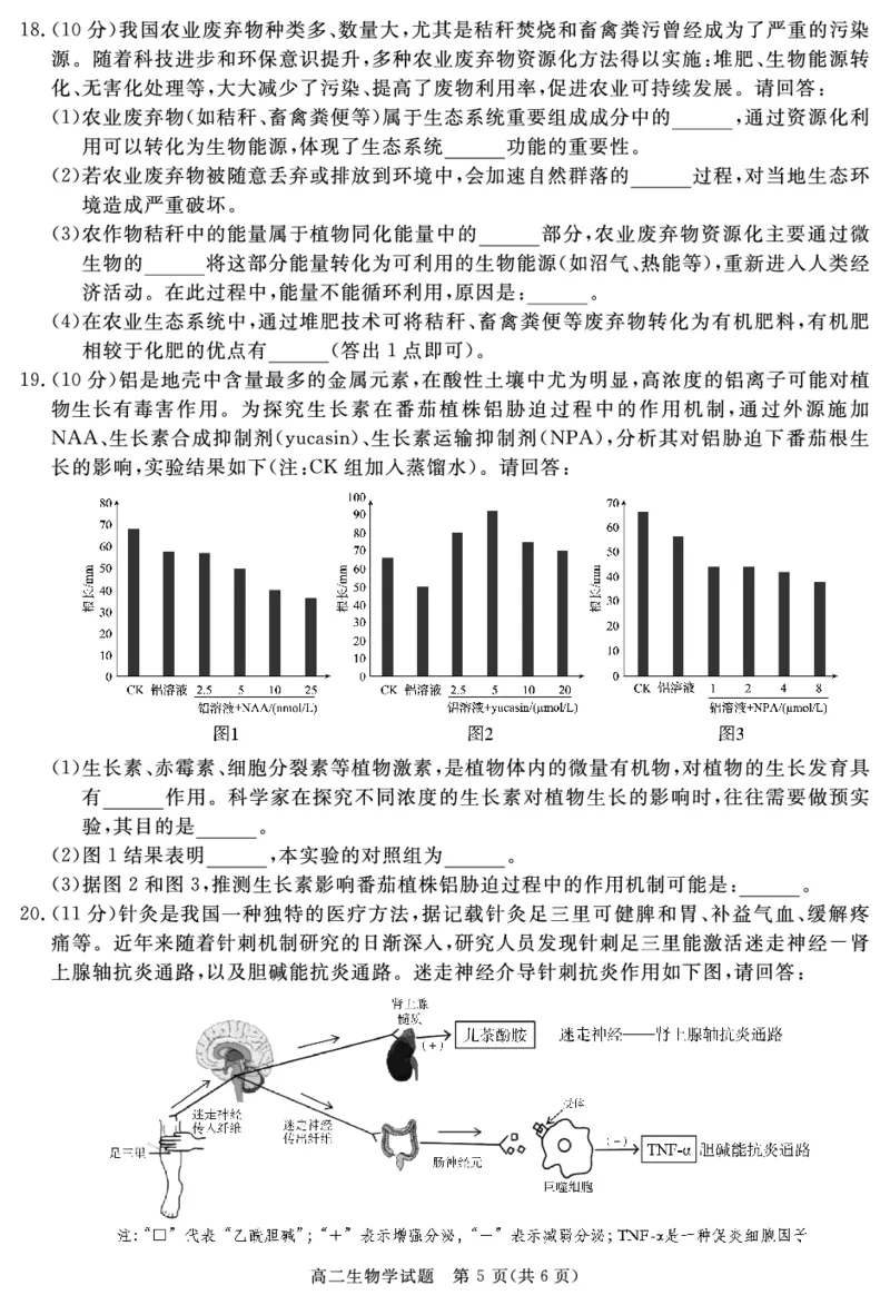 SN2026届地区期末生物_2024-2025高二（7-7月题库）_2025年01月试卷_0119四川省遂宁市2024-2025学年高二上学期期末_四川省遂宁市2024-2025学年高二上学期期末生物试题PDF版含解析