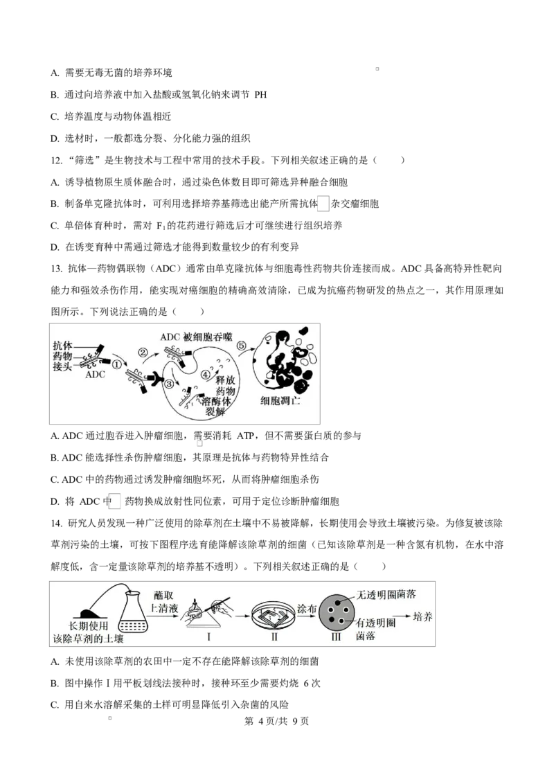 内蒙古自治区乌兰察布市集宁区第二中学2024-2025学年高二下学期4月月考生物试题Word版无答案_2024-2025高二（7-7月题库）_2025年05月试卷